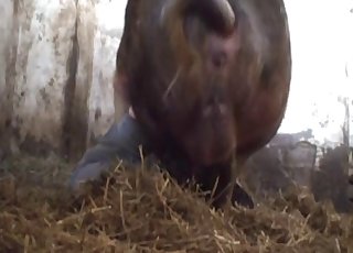 Human hole for a sexed-up animal
