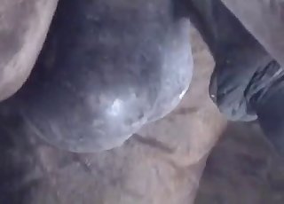 Beautiful cock shown up close