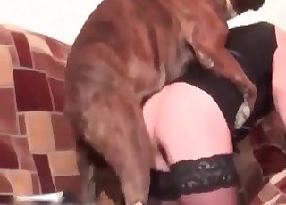 Bitchy hottie and her cute young doggy
