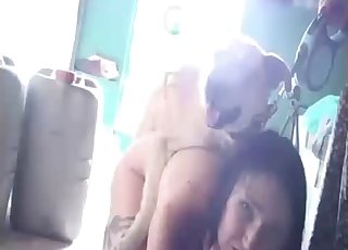 Nighttime dog bestiality porn session