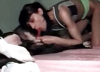 Brunette is sucking a good animal boner