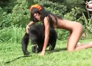 Amazing monkey has some sexual fun in the jungle