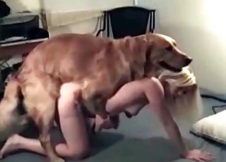 Close-up animal porn action